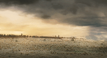 사람마다 갈리는 반지의 제왕 선호도.gif | 인스티즈