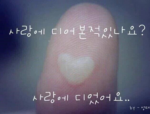 이별 후에 하기 좋은 프사 추천.jpg | 인스티즈