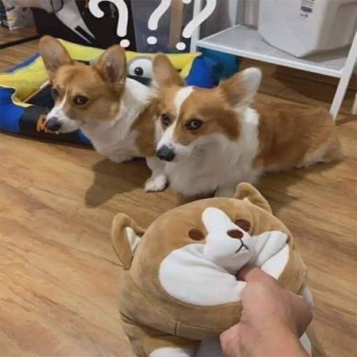 역지사지 | 인스티즈