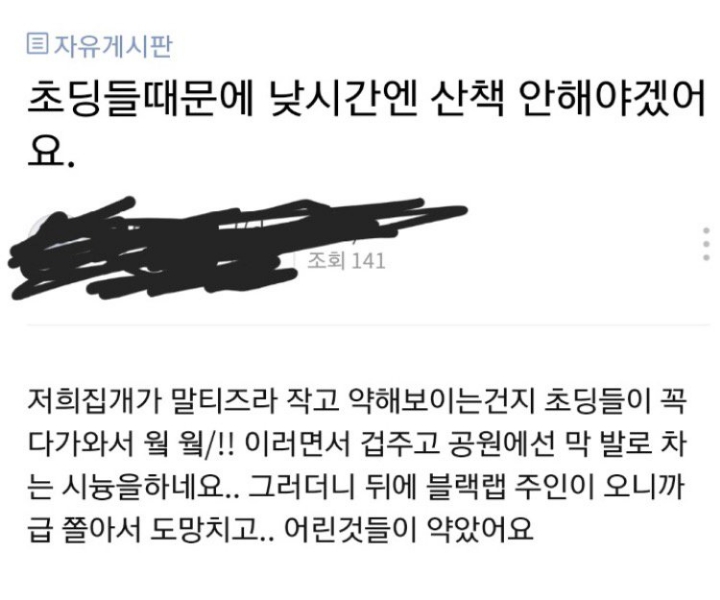 강아지 산책시키다가 이런 경험 있는 사람들 많음.jpg | 인스티즈