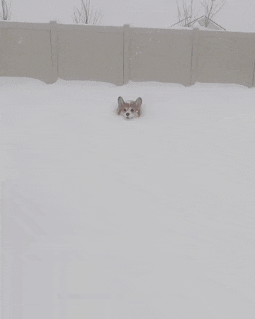 에 어 후 라 이 어 ㄷ ㄱ 2 | 인스티즈