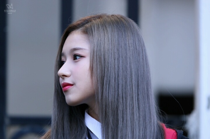 2020년을 여는 트와이스 사나 첫번째 글 | 인스티즈