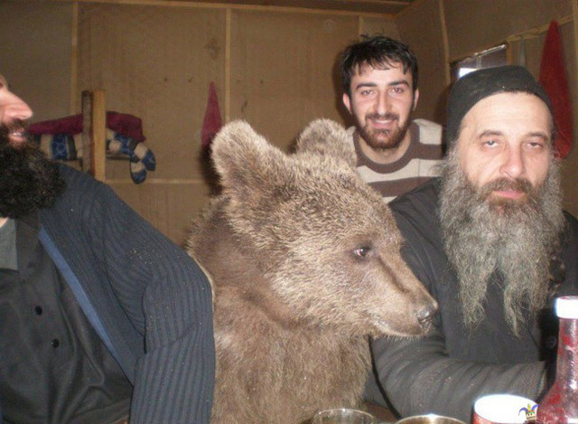 이젠 이유알기도 귀찮고 그냥 평화로운 일상임.gif | 인스티즈