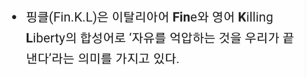 지금보면 충격적인 핑클의 뜻.jpg | 인스티즈