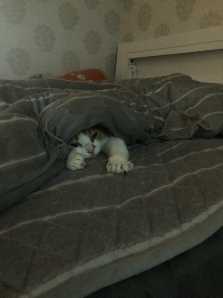 와이프랑 호들갑 .kakao | 인스티즈