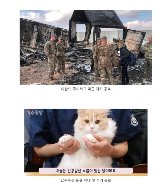 2020년 일어난 사건사고 | 인스티즈