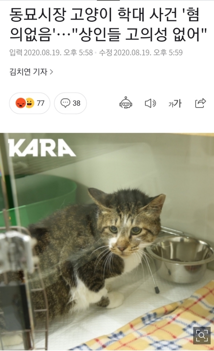 경찰 : "동묘 상인들 고의성 없고 고양이 학대행위도 없음, 혐의없음 처분 ㅅㄱ" | 인스티즈