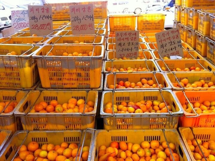 제주도 사람들이 귤을 사고파는 단위 | 인스티즈