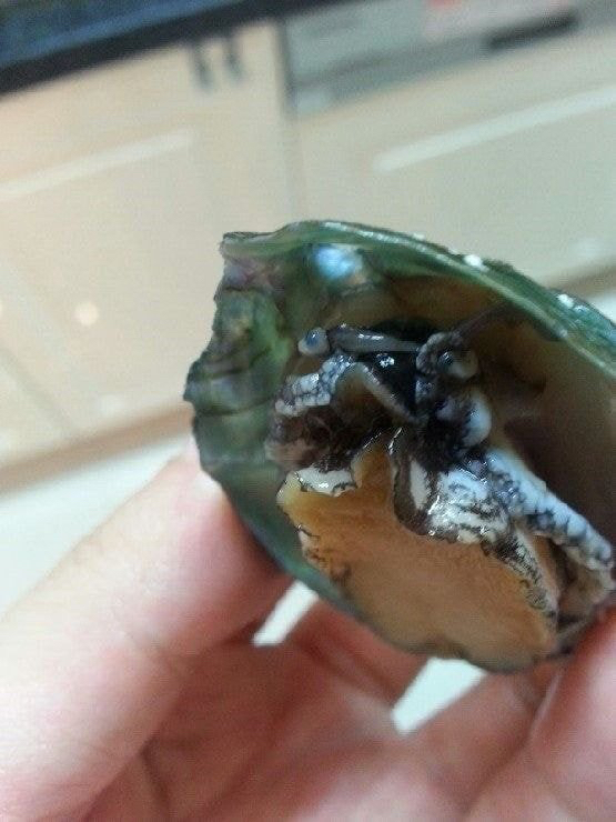 35e82e1868fb57c6472d5c26123cf7bcb83dfd92