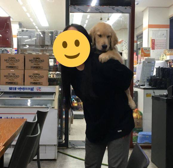 이상한거 주워먹어서 혼냈더니 | 인스티즈