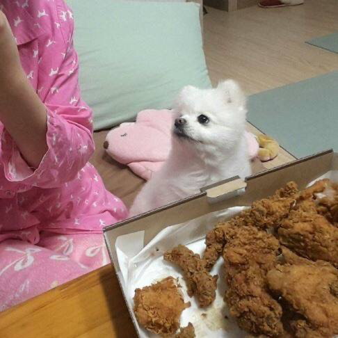 ???: 야야 그거 한입 먹는다고 죽냐 ㅋㅋㅋ | 인스티즈