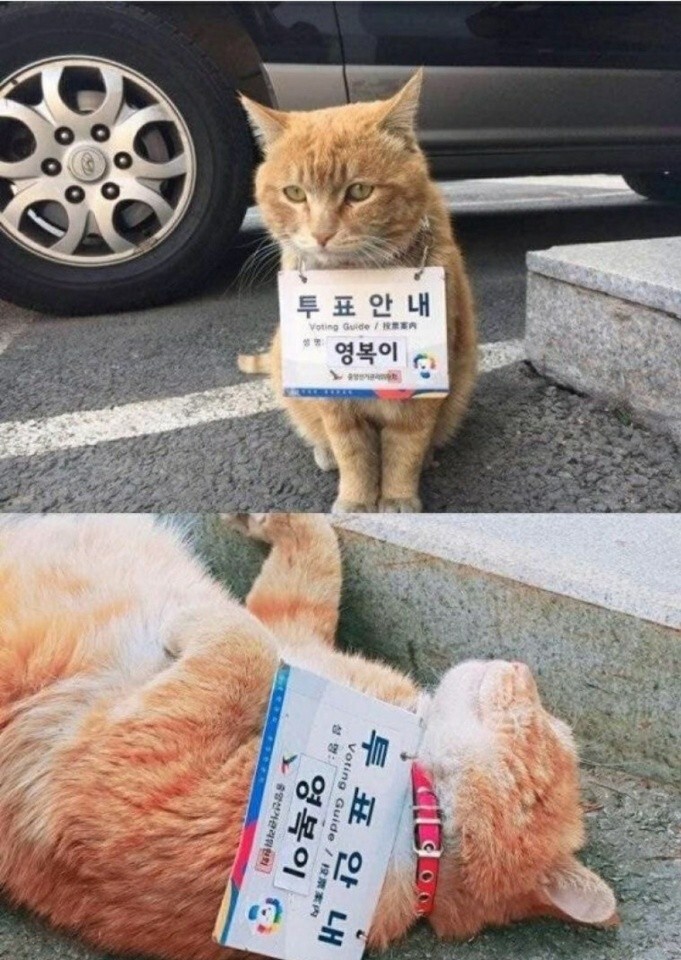 대놓고 근무태만 중인 공무원.jpg | 인스티즈