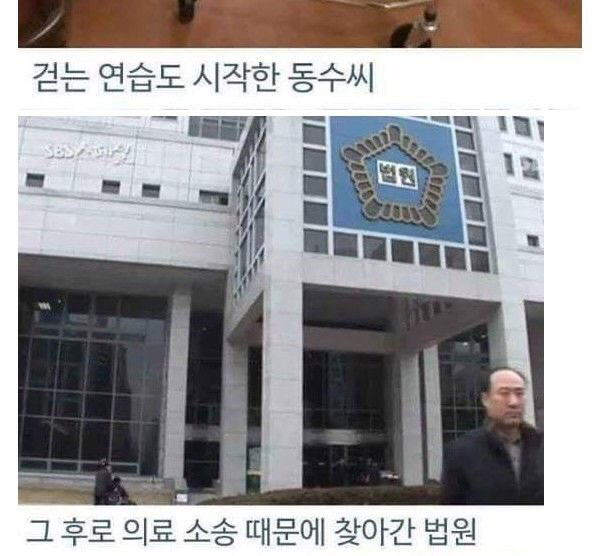 병원 실수로 하루아침에 사지 절단 | 인스티즈