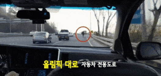 전동킥보드 규제 근황.JPG | 인스티즈