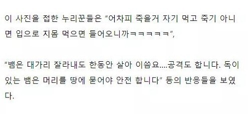 뱀을 죽여도 는 땅에 묻어야 하는 이유 (혐오주의) | 인스티즈