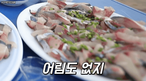 쯔양 회 먹방 중 잠깐 나가자 한 점 훔쳐 먹는 고양이 | 인스티즈