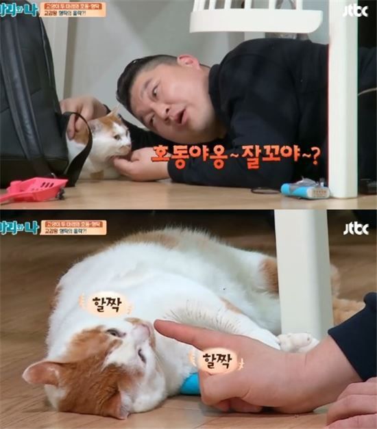 자기 닮은 고양이 만난 강호동 | 인스티즈