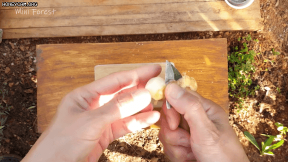 야외에서 먹는 삼겹살 클라스.gif | 인스티즈