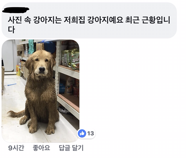 이상한거 주워먹어서 혼냈더니 | 인스티즈