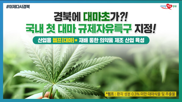 나라가 허락하는 유일한 마약 | 인스티즈
