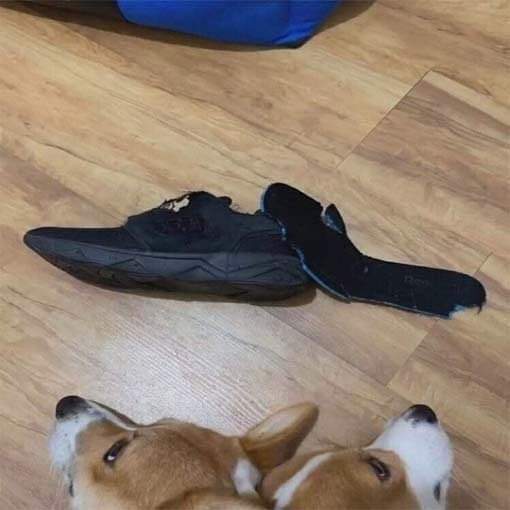 역지사지 | 인스티즈