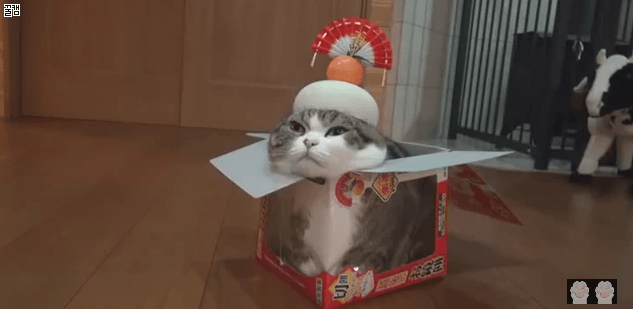 크리스마스 선물.gif | 인스티즈