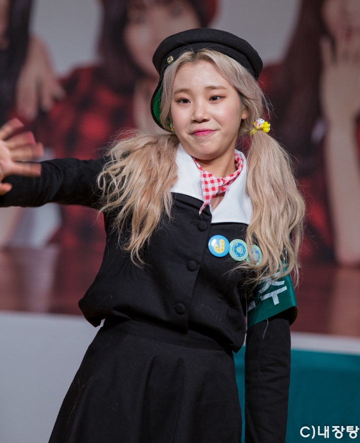 아이돌 팬들이 제일 싫어한다는 찍덕 | 인스티즈