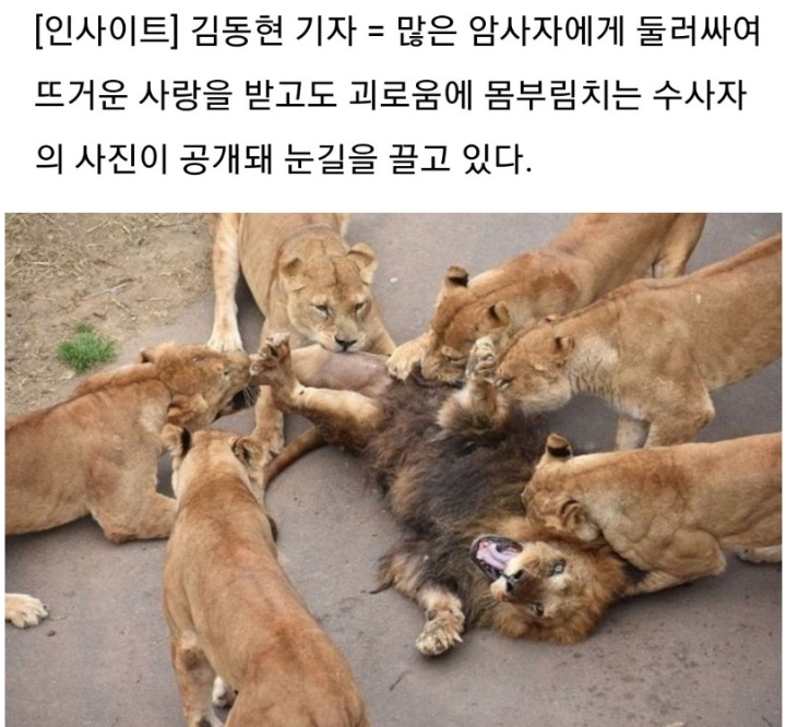 세상에 남자가 나만 남았다 | 인스티즈