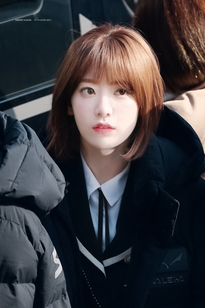 아침을 여는 아이즈원 미야와키 사쿠라 | 인스티즈