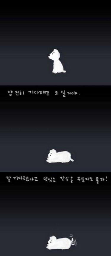 주인에게 버림받은 강아지 | 인스티즈