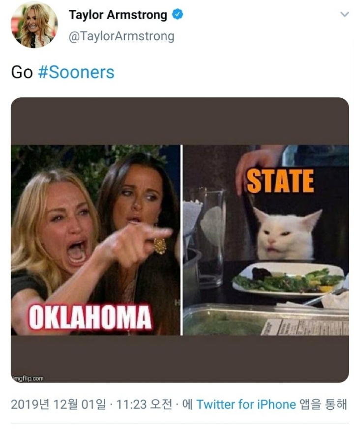 고양이에게 소리지르는 여자 근황 | 인스티즈