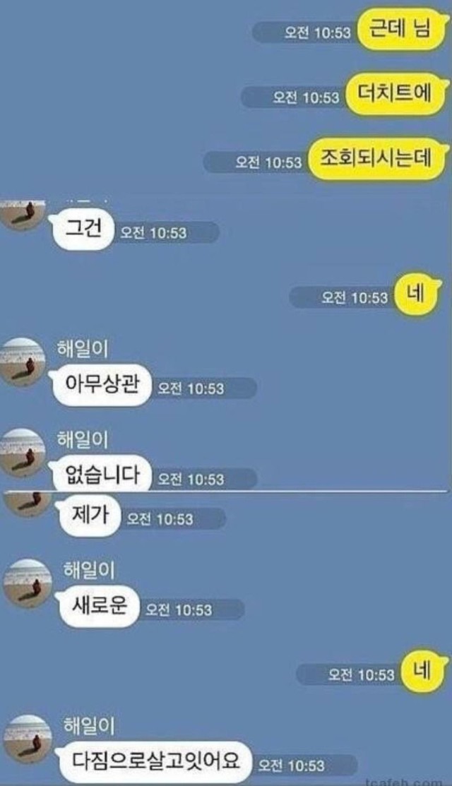 평화로운중고나라 | 인스티즈