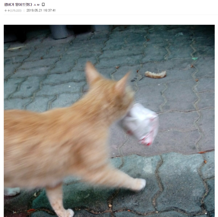 야이씨 우리가족 전부 일리단 됨 | 인스티즈