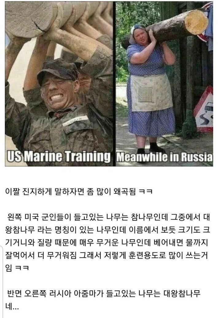 통나무 드는 러시아 아줌마 짤의 진실 | 인스티즈