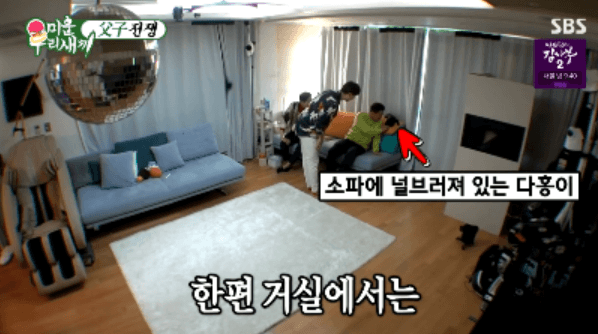 박수홍 고양이 냥스타그램 | 인스티즈