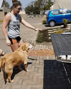 차에타는 인절미들 | 인스티즈