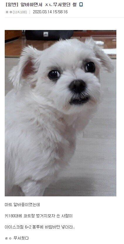 알바하면서 ㅈㄴ 무서웠던 썰.jpg | 인스티즈