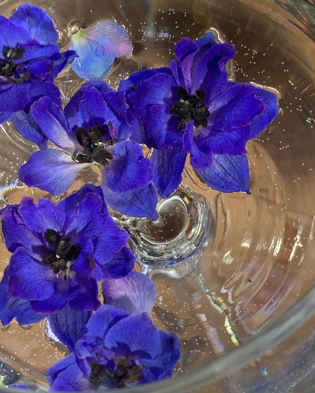 오늘자 슬기 인스타그램.jpg | 인스티즈