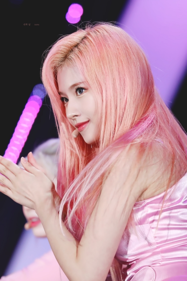 2020년을 여는 트와이스 사나 첫번째 글 | 인스티즈