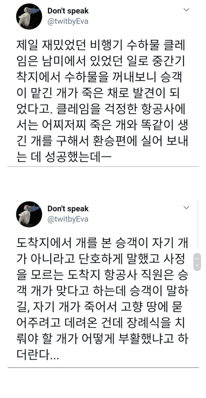 골때리는 비행기 수하물 클레임 썰.jpg | 인스티즈