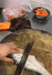 생선요리 고인물.gif | 인스티즈