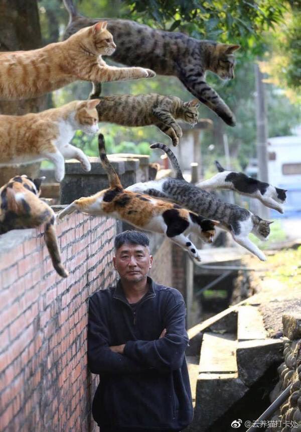 내가 허락하지. 가서 『죽여라』.jpg | 인스티즈