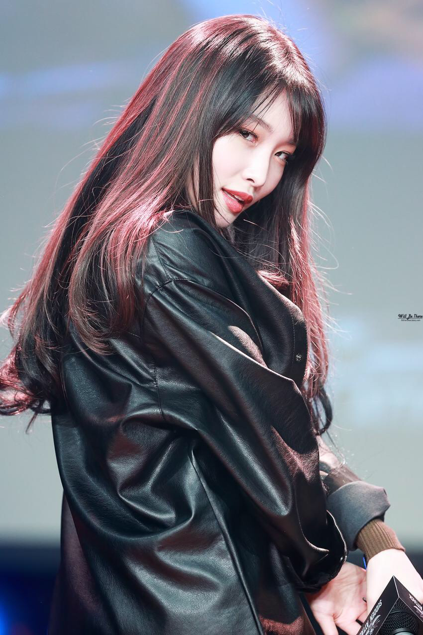 김청하존나마제스티 | 인스티즈