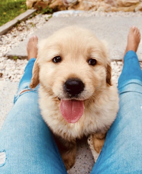 커여운 인절미들 | 인스티즈