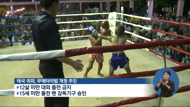 애들을 돈벌이로 경기에 내보낸다는 태국 (13살 소년 사망) | 인스티즈