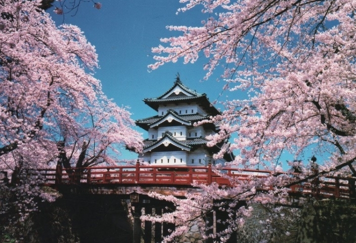 메이플스토리 월드를 빼닮은 아름다운 실제 풍경들 모음!! | 인스티즈