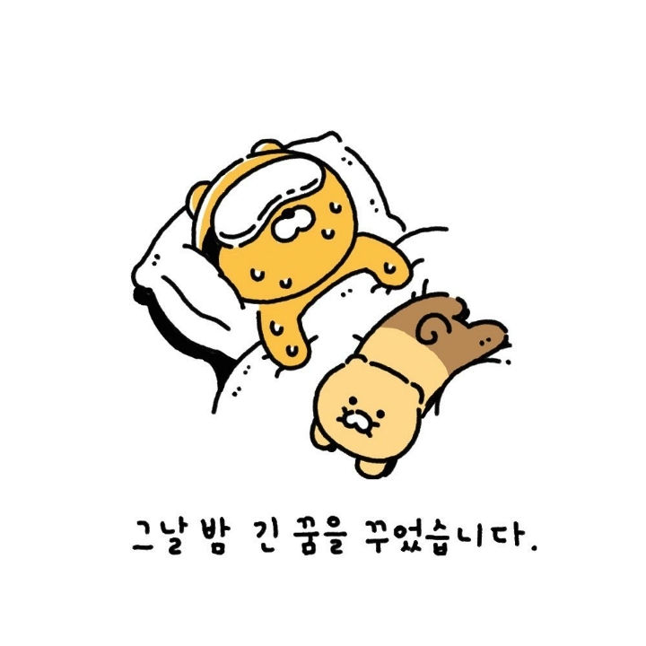 카카오 라이언 & 춘식이 만화 및 짤 | 인스티즈