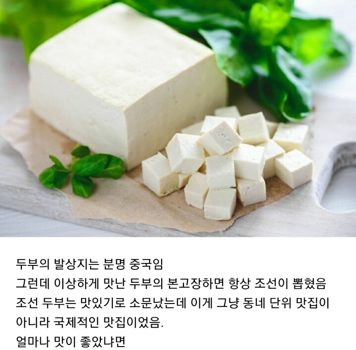 조선두부 이미지