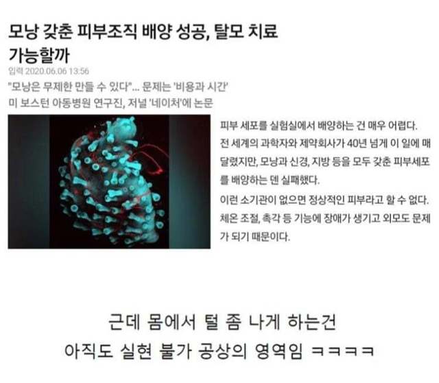 현대의학으로 가능한 것과 불가능한 것 | 인스티즈