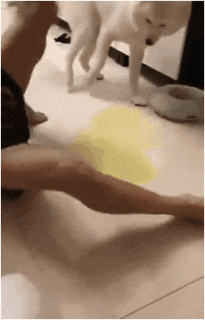 개지리는 마술 ㄷㄷㄷ.gif | 인스티즈